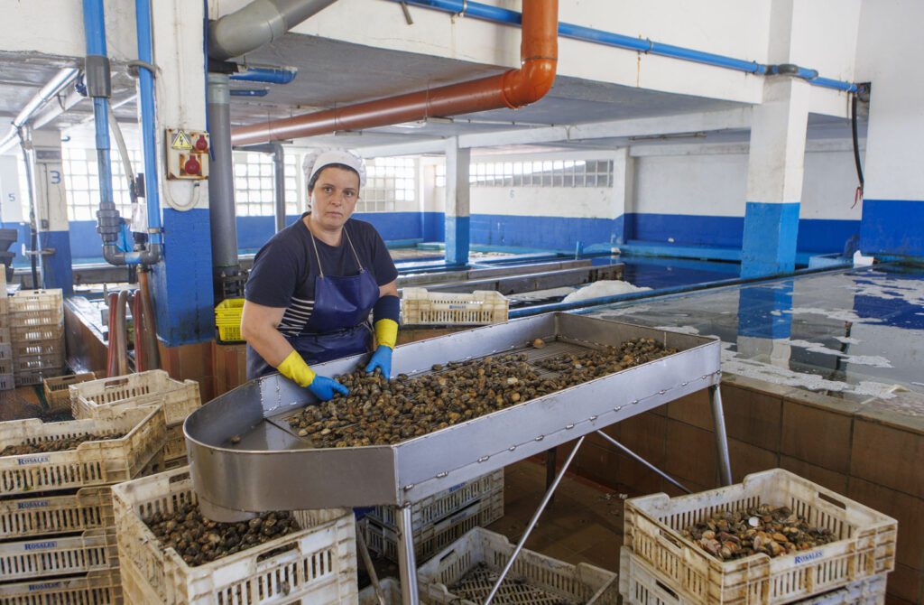 Sala de selección de marisco con trabajadoras en la cinta
