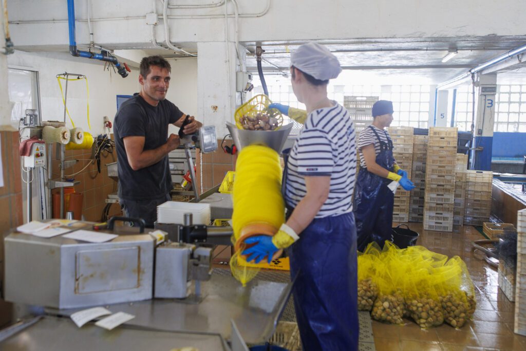 Pesando una malla de marisco antes de preparar el pedido