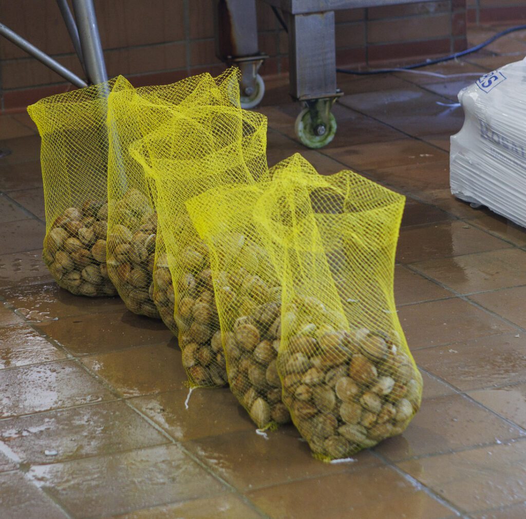 Mallas de marisco gallego listas para el envío