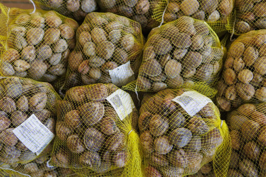Mallas de marisco vivo etiquetadas y listas para preparar los pedidos