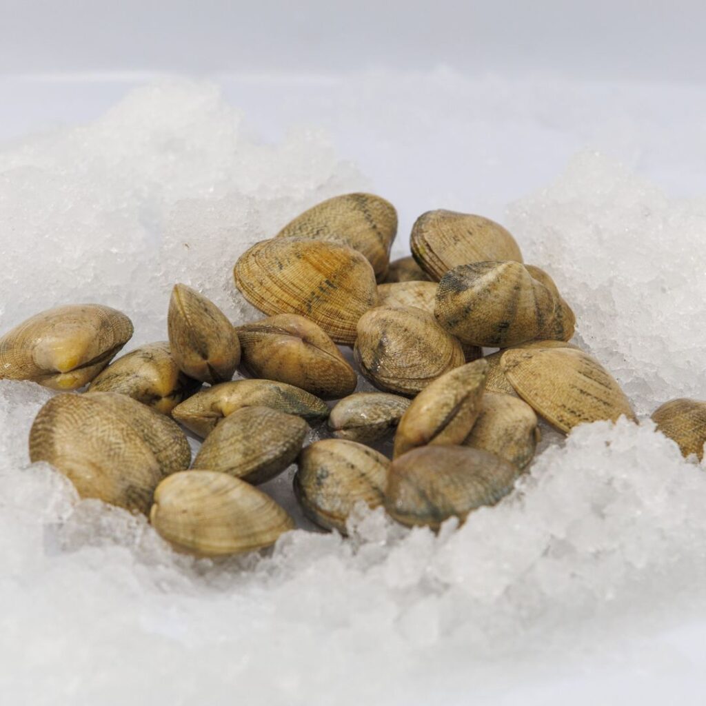 Almejas finas gallegas sobre hielo, uno de los clásicos del marisco para Navidad