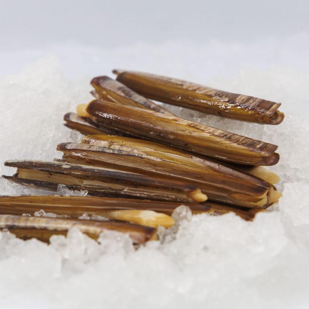Navajas gallegas frescas sobre hielo, listas para hacer navajas a la plancha