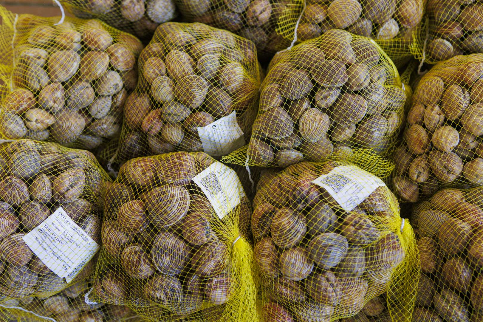 Mallas de marisco gallego vivo etiquetadas para el envío a domicilio en Madrid